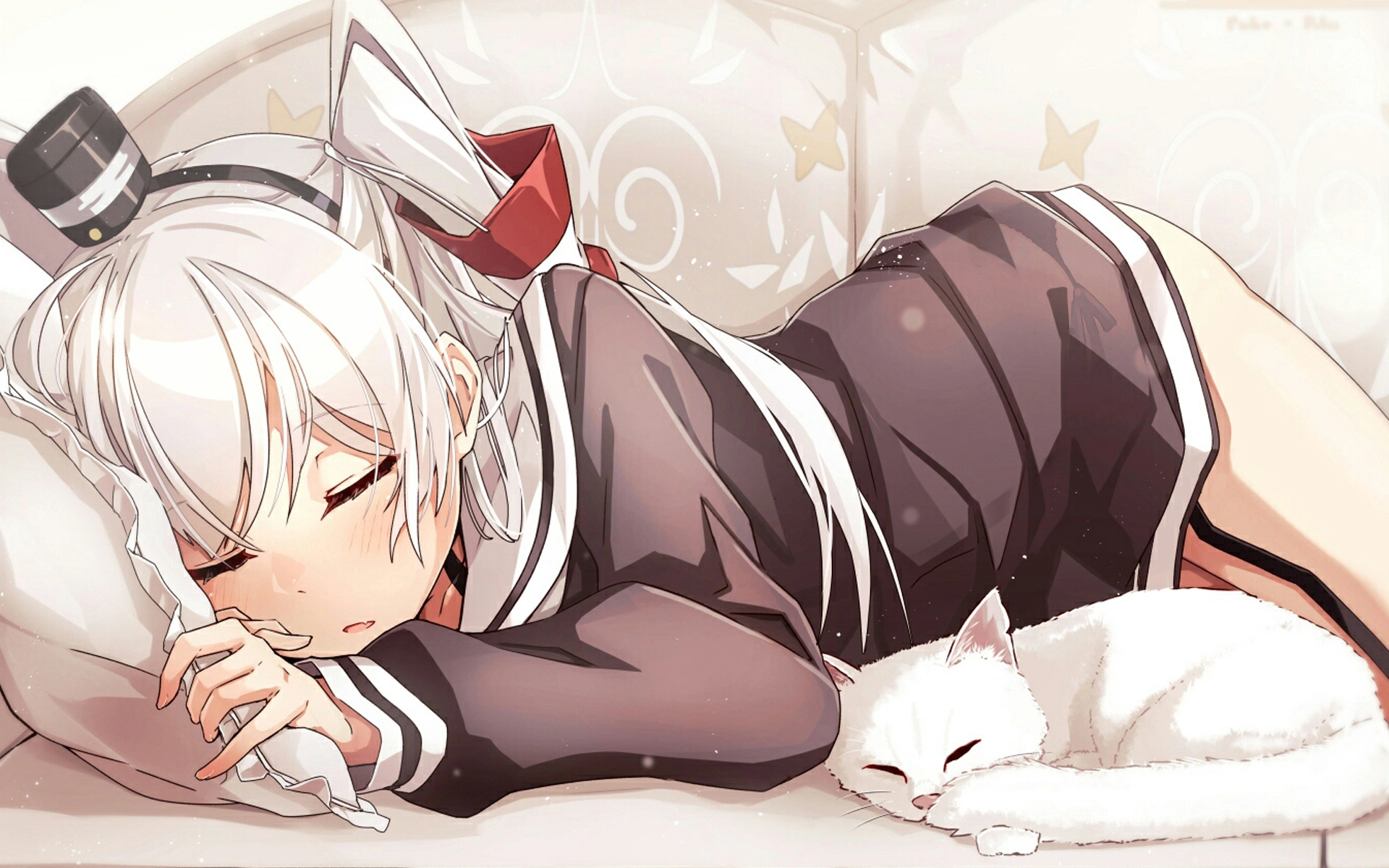 Card background
