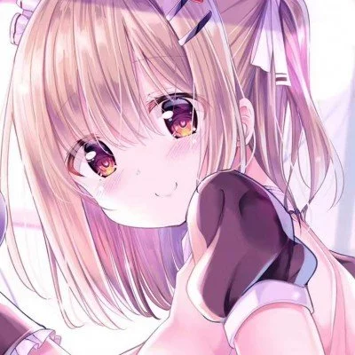 1.21 平原村庄uhc（复活赛版）插图2